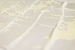 MARTHA SOPHIE BURKHARDT