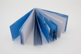 MARTHA SOPHIE BURKHARDT