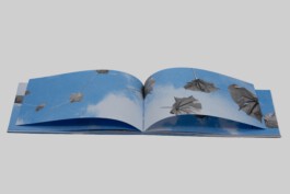 MARTHA SOPHIE BURKHARDT